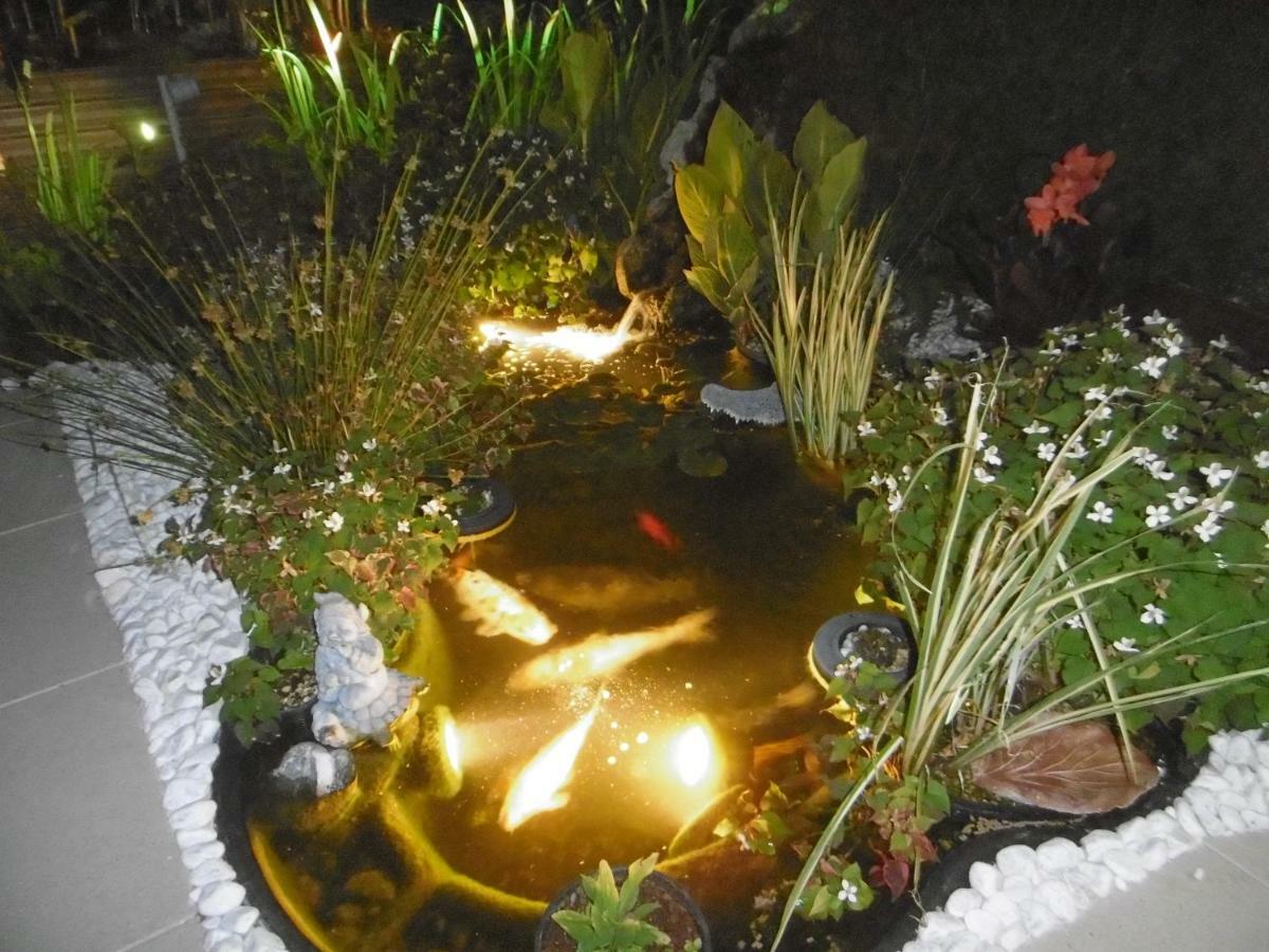 شقة La Petalerie إيبيرني المظهر الخارجي الصورة